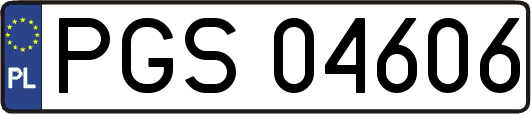PGS04606