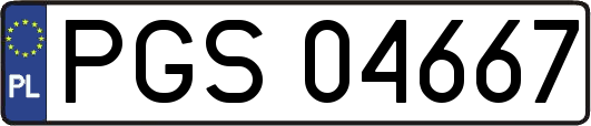 PGS04667