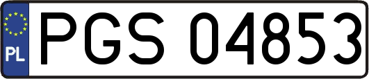 PGS04853