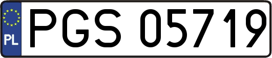 PGS05719