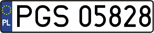 PGS05828