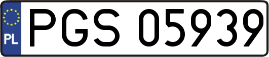 PGS05939