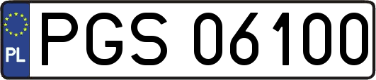 PGS06100