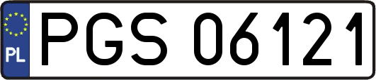 PGS06121