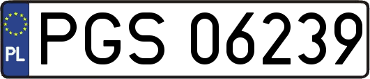 PGS06239