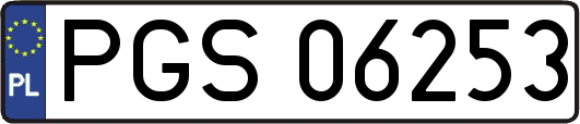 PGS06253