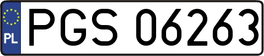 PGS06263
