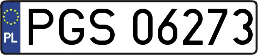 PGS06273
