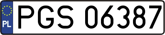 PGS06387