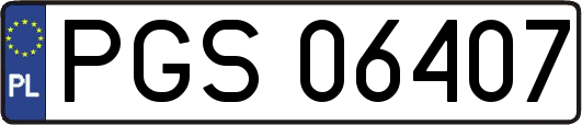 PGS06407
