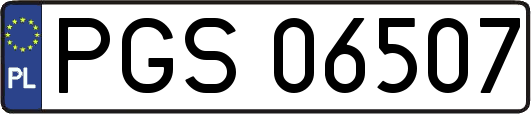 PGS06507