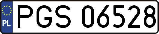 PGS06528