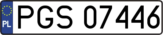 PGS07446