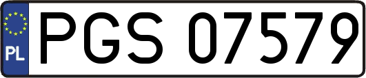 PGS07579