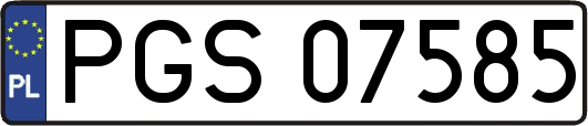 PGS07585