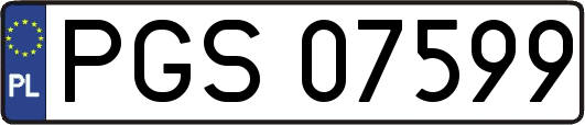 PGS07599