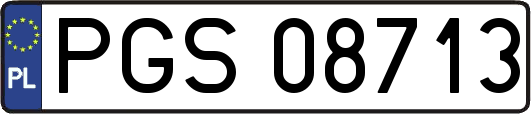 PGS08713