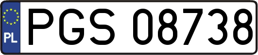 PGS08738