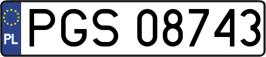 PGS08743