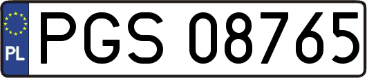 PGS08765