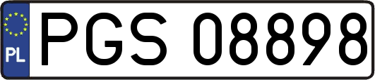 PGS08898