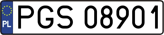 PGS08901