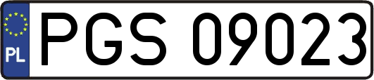 PGS09023