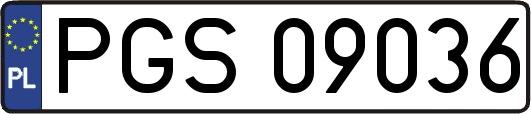 PGS09036