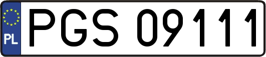 PGS09111