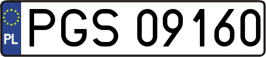 PGS09160
