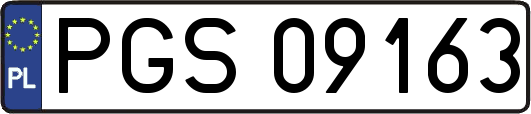 PGS09163