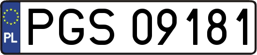 PGS09181