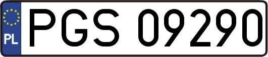 PGS09290