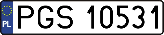 PGS10531