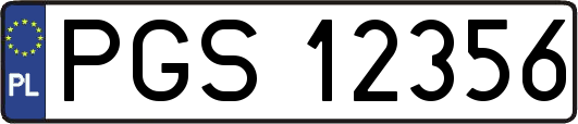 PGS12356