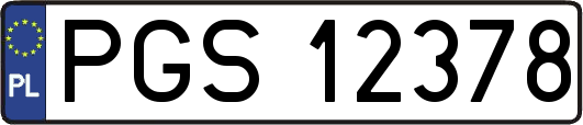 PGS12378