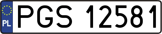 PGS12581