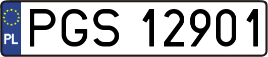 PGS12901