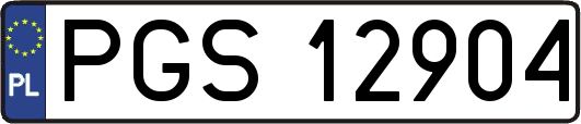 PGS12904