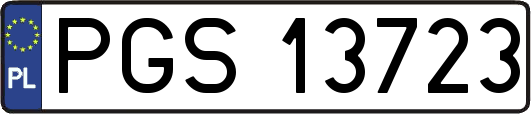 PGS13723