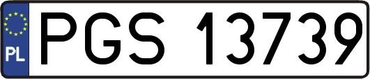 PGS13739