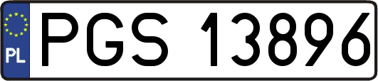 PGS13896