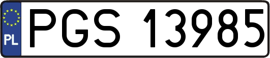 PGS13985
