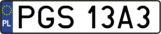 PGS13A3