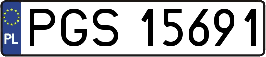 PGS15691
