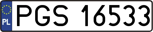 PGS16533