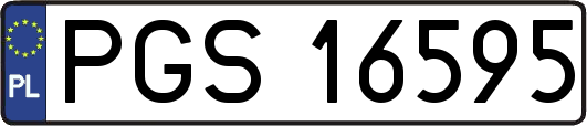 PGS16595