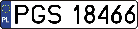 PGS18466