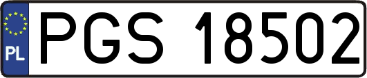 PGS18502