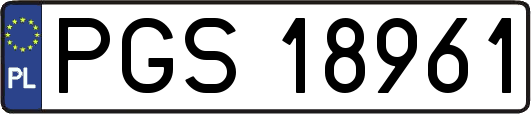 PGS18961